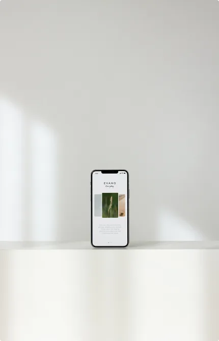 Explore Our Latest Case Studies - 安博体育